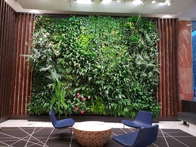 Waiting room with vertical green garden