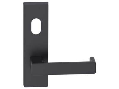 Entro Rectangular Plate Lever Product Sample
