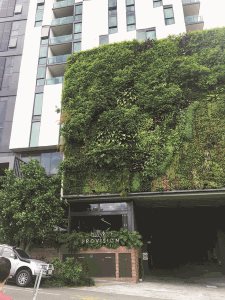 Building facade with green vertical garden