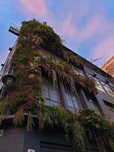 Closeup building exterior with green vertical garden
