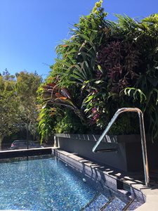 Fytogreen Fytowall-above-Pool_Breeze-Apartments-QLD