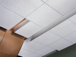 ​Ceiling tiles and DONN® suspension and drywall grid systems