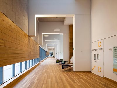 Network Architectural Prodema Natural Wood Cladding Modern Commercial Interior Corridor