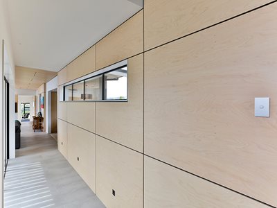 Big River Birch Plywood Wall Panelling Residential