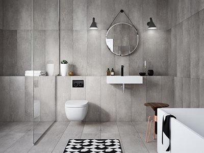Geberit Concealed Cisterns and Designer Flush Button Bathroom Interior