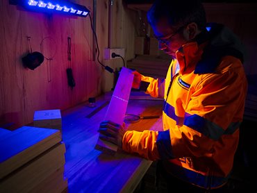 Tradesman Testing Wood with Ultra Violet Light