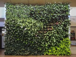 Gro-Wall® vertical gardens made easy!