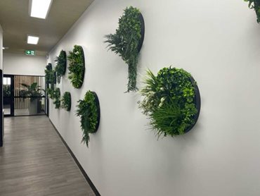 The discs introduced greenery into the office interiors 