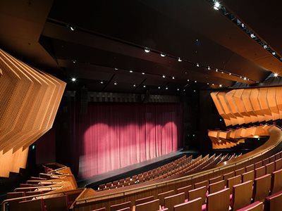 Sliced Veneer Theatre Interior