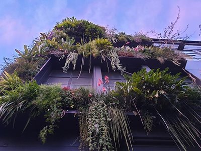 Detailed building facade with green vertical garden