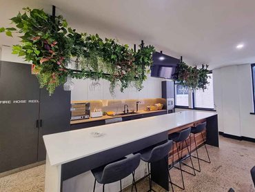 The custom-made ceiling planter arrangement in the communal kitchen