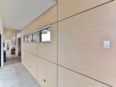 A striking ply wall in the corridor provides a visual connection between spaces