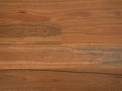Havwoods Australian Collection Spotted Gum Swatch