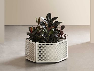 The perforated planter