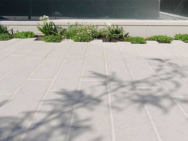 The combination of the hard paving and plants achieves a balanced landscape.