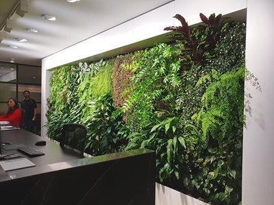 Office with vertical garden wall