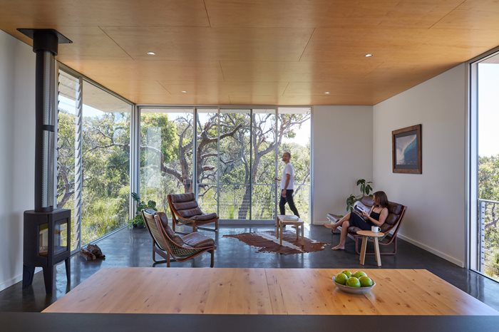 sustainable modernist home