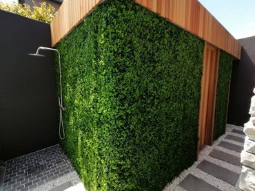 The green wall brings the outdoor entertainment area to life