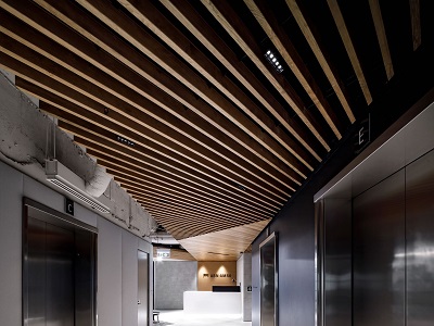 Timber ceiling
