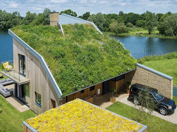 sustainable house rooftop garden