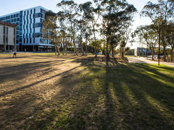 University of Canberra landscape architecture