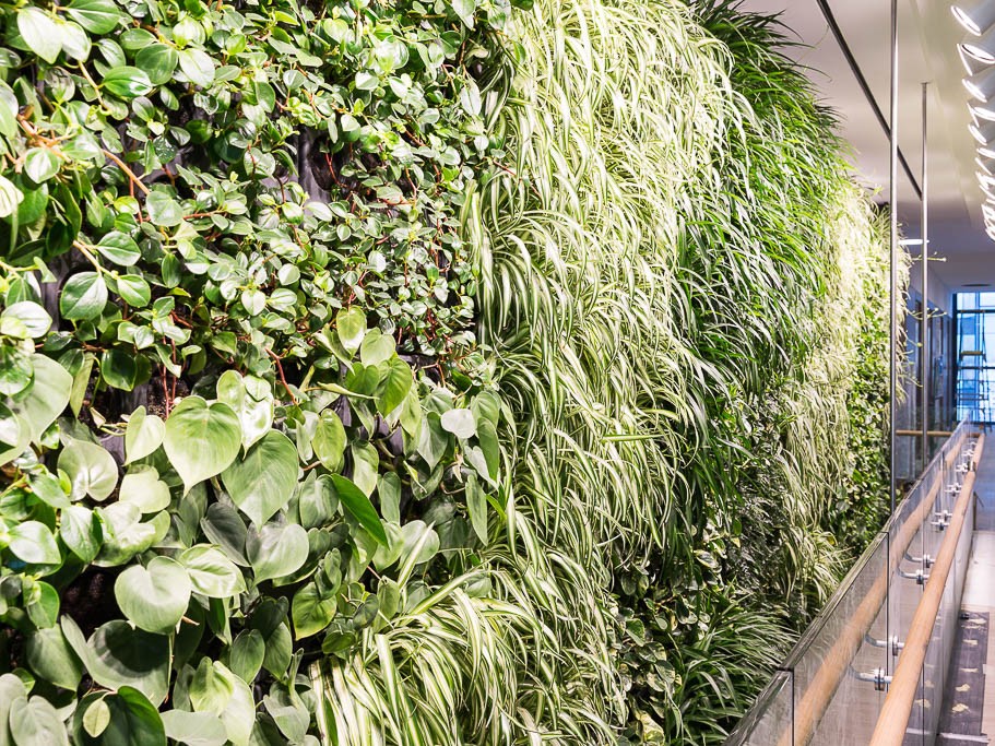 Junglefy Breathing Wall wins 2016 Sustainability Awards - Green Building Product prize
