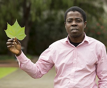 Oluleye Hezekiah Babatunde hopes his new tool could fully automate the recognition of plant species. Image: ECU