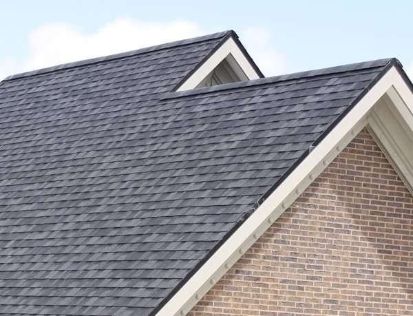 Top 6 Roof Shingles: Asphalt, Timber & More