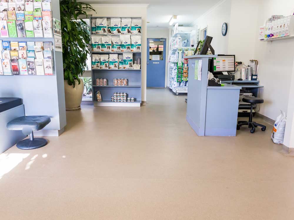 Altro safety flooring at veterinary clinic