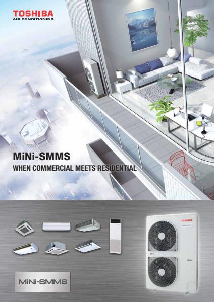 Mini SMMSi Brochure 