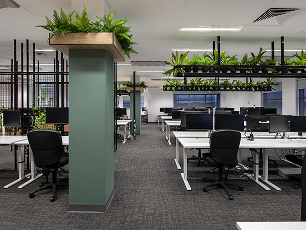 Hames Sharley and Aurecon collaborate on new office