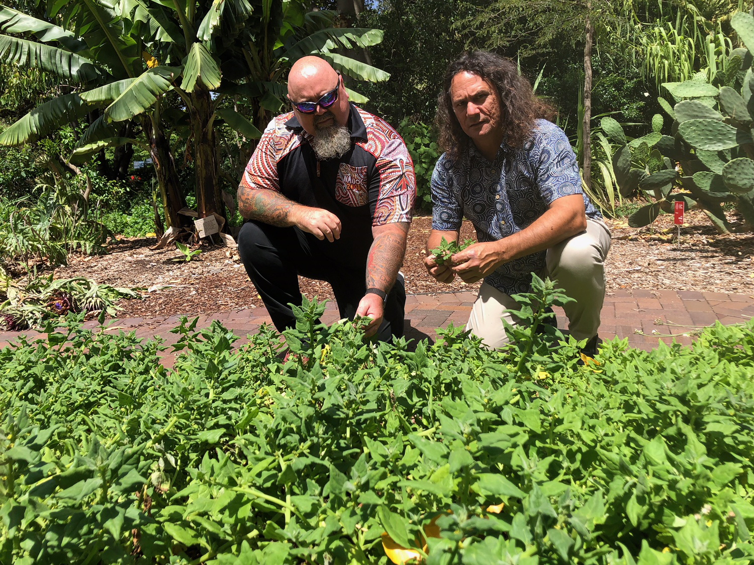 Mirvac has joined forces with cultural start-up Yerrabingin to bring to life a unique, Indigenous rooftop farm concept in central Sydney. Image: Christian and Clarence from&nbsp;Yerrabingin / Supplied
