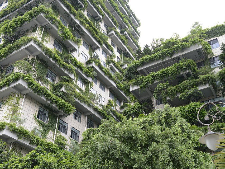 Green rooftops give a backyard feel to smaller housing units in Sydney. Image: Author provided
