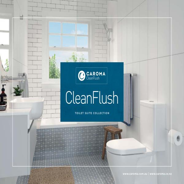 Clean Flush