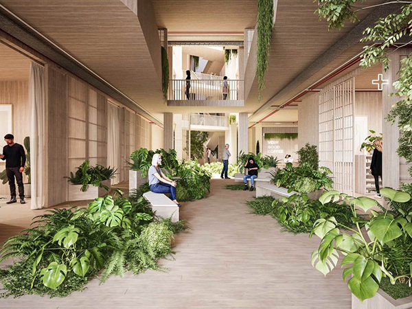At the core of the project, standing proud from ground to roof, is a light filled, green atrium. The atrium is the spine that guides the way to a rooftop garden, alive with the seasons. A space to heal.