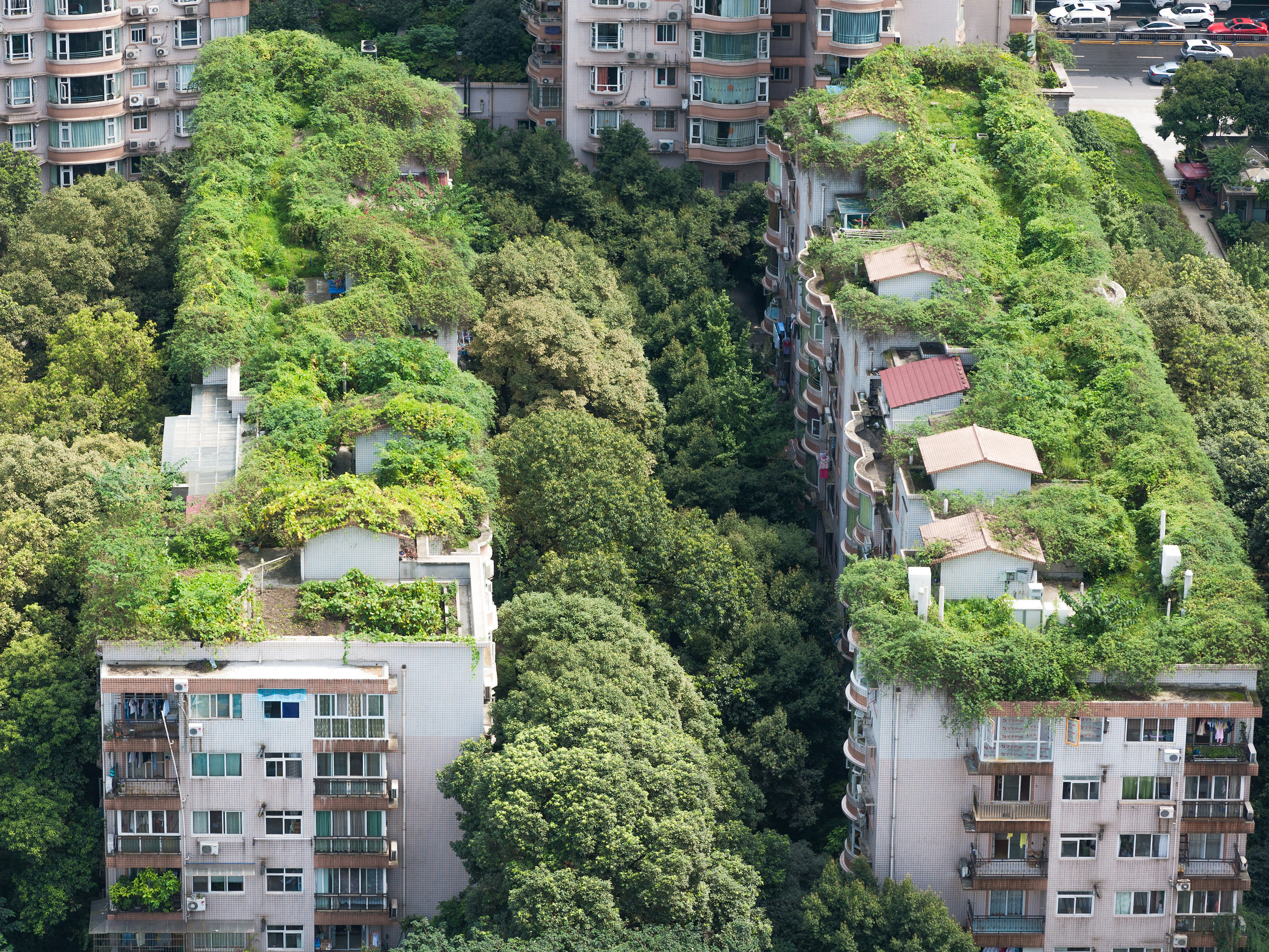 Garden roofs (like these in Chengdu, in China&rsquo;s Sichuan province) need maintenance and community involvement. Image: shutterstock.com
