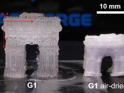 How a 3-D-printed object composed of hydrogel (G1) can change size after printing. Credit: Chenfeng Ke
