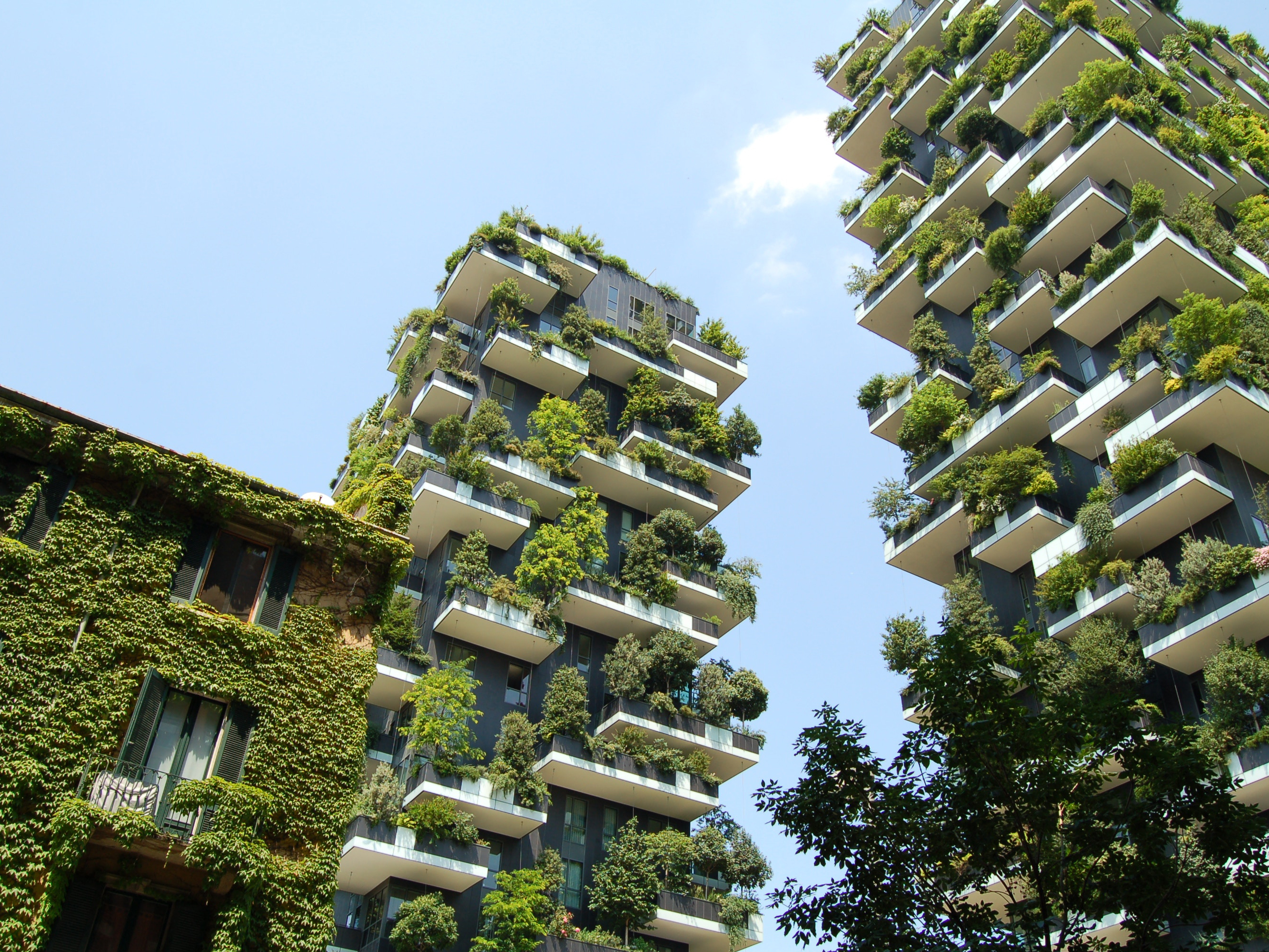 The&nbsp;World&nbsp;Green&nbsp;Building&nbsp;Trends 2018 SmartMarket Report, released by Dodge Data and Analytics, indicates support for the&nbsp;green&nbsp;building&nbsp;sector is growing globally, with organisations across the construction industry shifting towards more sustainable materials and practices. Image: Zureli

