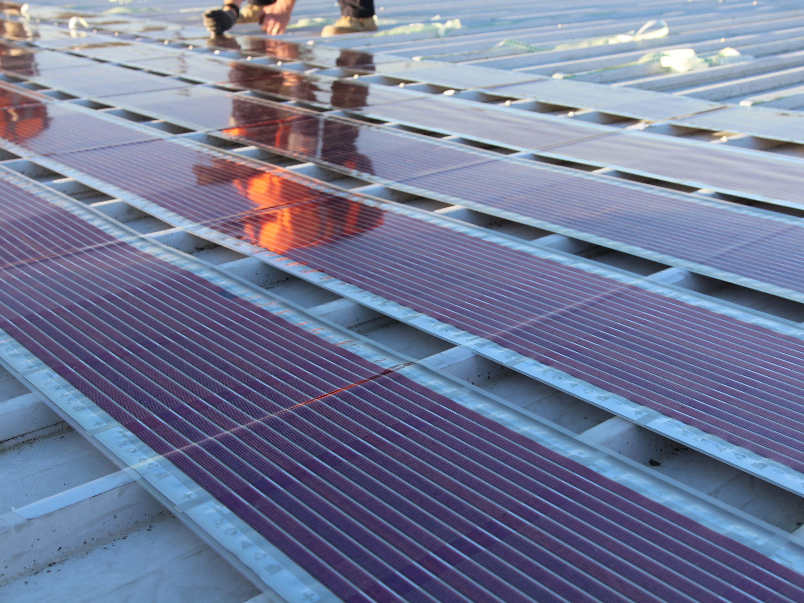 This roof in Newcastle has become the first in Australia to be covered with specially printed solar cells. University of Newcastle, Author provided
